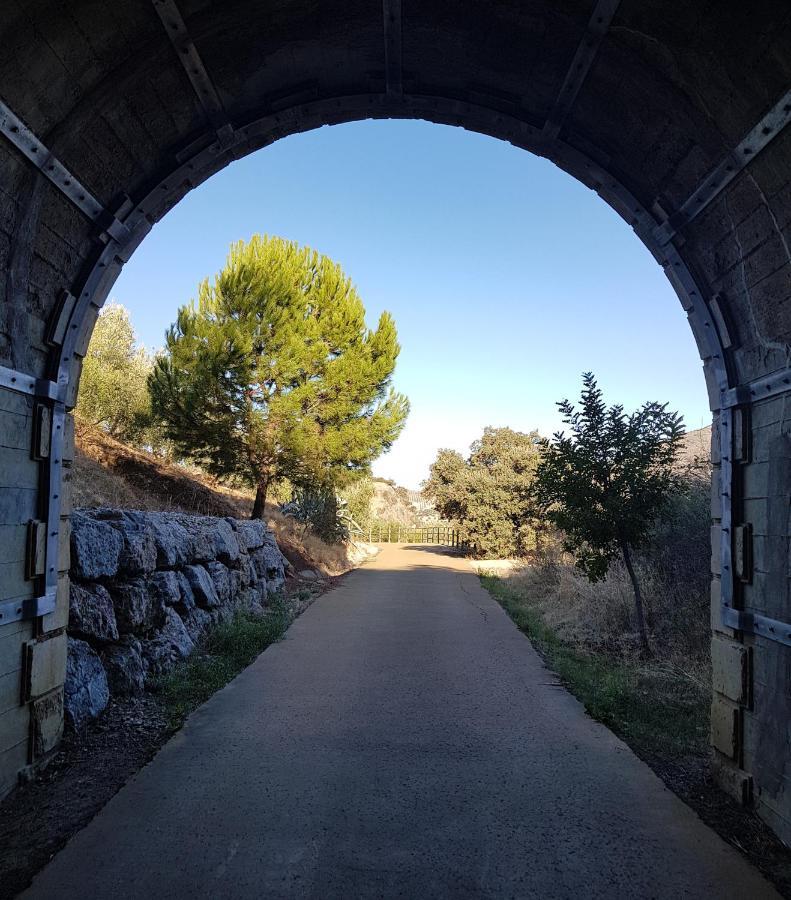 אולברה Olive Tree Bed And Breakfast מראה חיצוני תמונה